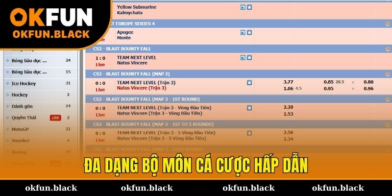 Điểm danh môn thể thao OKFUN hot nhất thị trường