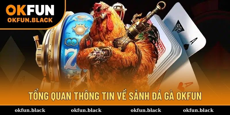 Giới thiệu qua một vài thông tin của sảnh đá gà OKFUN