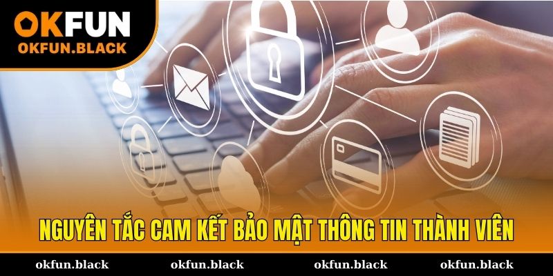Nguyên tắc cam kết chính sách bảo mật luôn an toàn